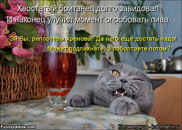 Хвостатый британец долго завидовал И наконец улучил момент опробовать пива. -Эй Вы, репортёры хреновы... Котоматрица: Хвостатый британец долго завидовал И наконец улучил момент опробовать пива. -Эй Вы, репортёры хреновы! Да него ещё достать надо! Может подпи