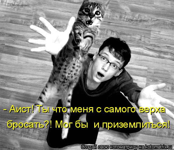 Котоматрица: - Аист! Ты что меня с самого верха бросать?! Мог бы  и приземлиться!