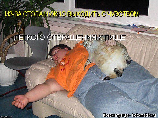 Котоматрица: ИЗ-ЗА СТОЛА НУЖНО ВЫХОДИТЬ С ЧУВСТВОМ   ЛЕГКОГО ОТВРАЩЕНИЯ К ПИЩЕ