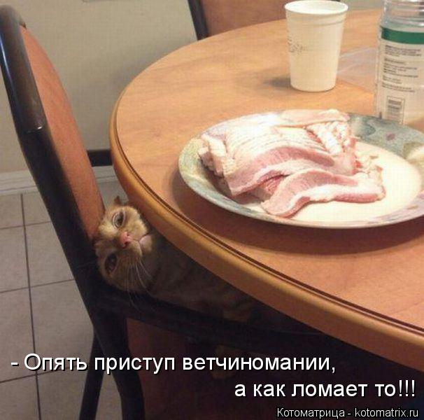 Котоматрица: - Опять приступ ветчиномании, а как ломает то!!!