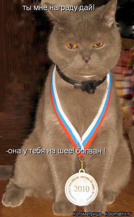 Котоматрица: ты мне награду дай! -она у тебя на шее! болван !
