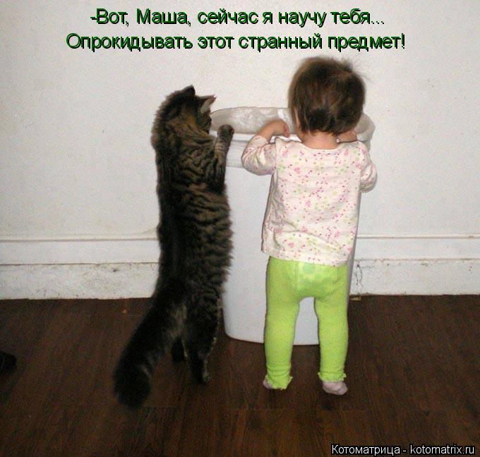 -Вот, Маша, сейчас я научу тебя... Опрокидывать этот странный предмет!... Котоматрица: -Вот, Маша, сейчас я научу тебя... Опрокидывать этот странный предмет!
