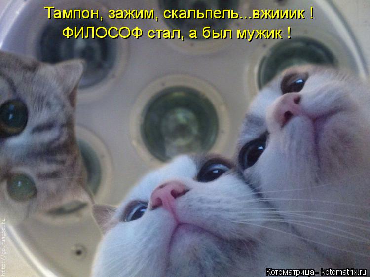 Котоматрица: Тампон, зажим, скальпель...вжииик ! ФИЛОСОФ стал, а был мужик !