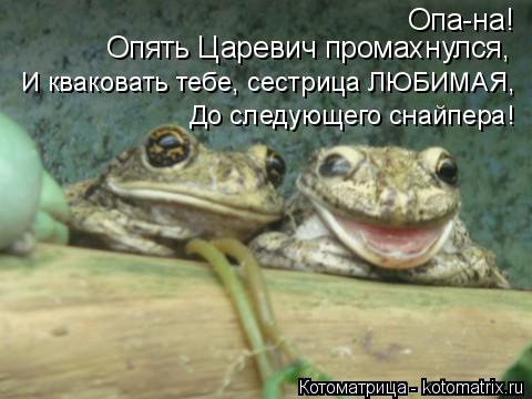 Котоматрица: Опа-на! Опять Царевич промахнулся, И кваковать тебе, сестрица ЛЮБИМАЯ, До следующего снайпера!