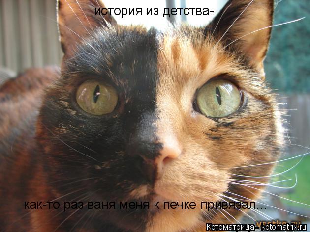 Котоматрица: история из детства- как-то раз ваня меня к печке привязал...