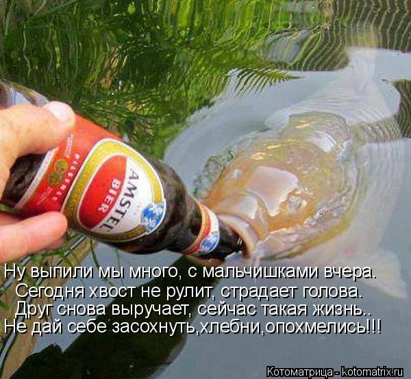 Сегодня хвост не рулит, страдает голова. Друг снова выручает, сейчас такая жизнь.. Не дай себе засохн... Котоматрица: Сегодня хвост не рулит, страдает голова. Друг снова выручает, сейчас такая жизнь.. Не дай себе засохнуть,хлебни,опохмелись!!! Ну выпили мы мно