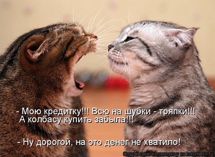 Котоматрица: - Мою кредитку!!! Всю на шубки - тряпки!!! А колбасу купить забыла!!! - Ну дорогой, на это денег не хватило!