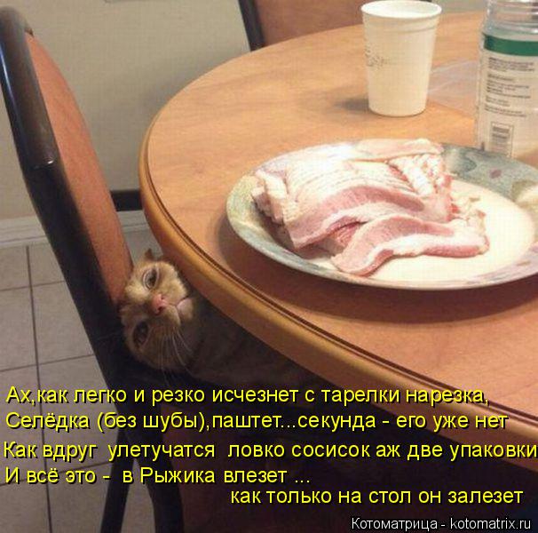 Котоматрица: Ах,как легко и резко исчезнет с тарелки нарезка, Селёдка (без шубы),паштет...секунда - его уже нет Как вдруг  улетучатся  ловко сосисок аж две у