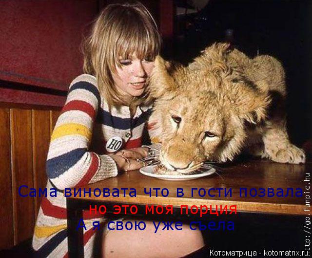 Сама виновата что в гости позвала но это моя порция А я свою уже съела... Котоматрица: Сама виновата что в гости позвала но это моя порция А я свою уже съела
