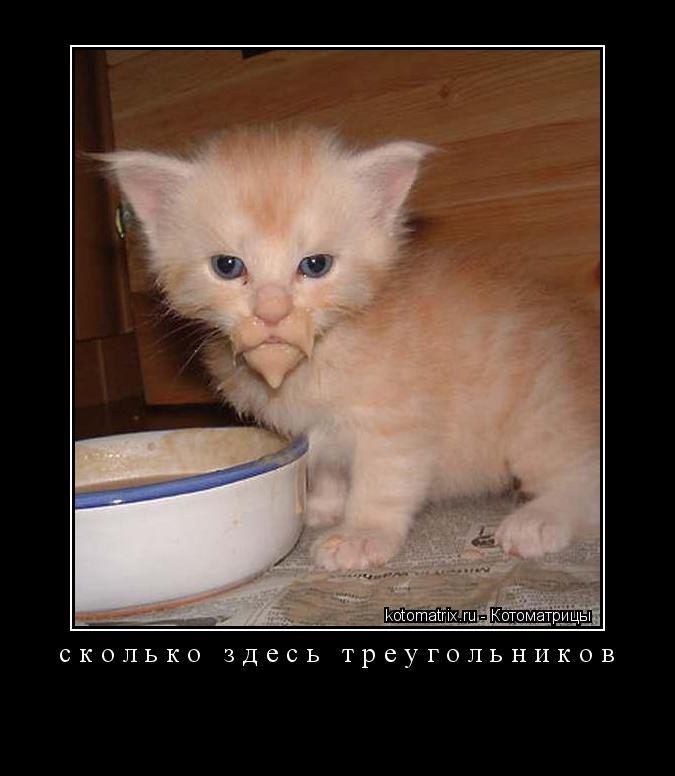 Котоматрица: сколько здесь треугольников 