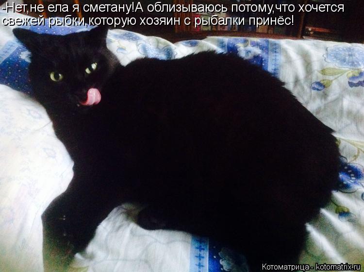 Котоматрица: -Нет,не ела я сметану!А облизываюсь потому,что хочется свежей рыбки,которую хозяин с рыбалки принёс!