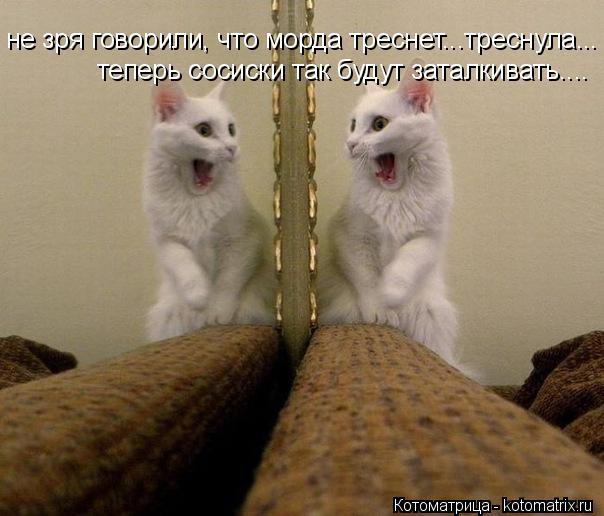 Котоматрица: не зря говорили, что морда треснет...треснула... не зря говорили, что морда треснет...треснула... теперь сосиски так будут заталкивать....