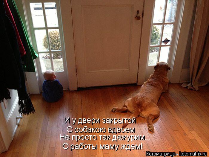 Котоматрица: С работы маму ждем! С собакою вдвоем И у двери закрытой Не просто так дежурим...