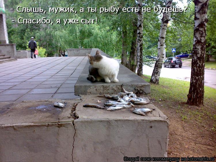 Котоматрица: - Слышь, мужик, а ты рыбу есть не будешь?      - Спасибо, я уже сыт!