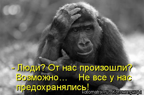 Котоматрица: - Люди? От нас произошли? Возможно…    Не все у нас  предохранялись!