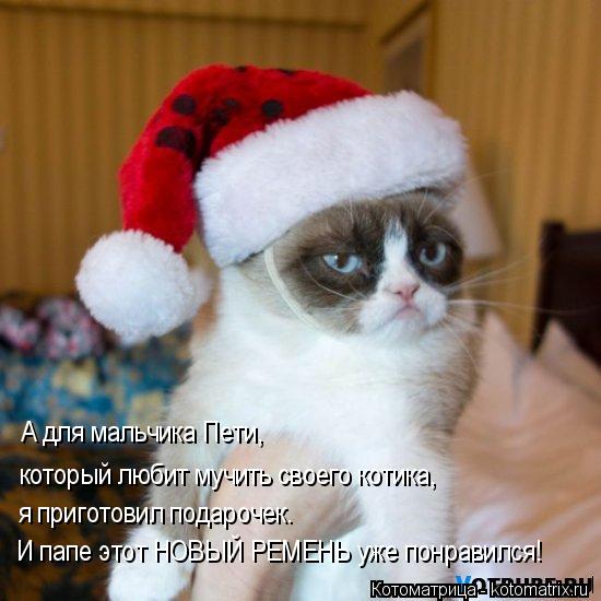 Котоматрица: А для мальчика Пети,  который любит мучить своего котика,  я приготовил подарочек. И папе этот НОВЫЙ РЕМЕНЬ уже понравился!