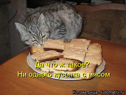Котоматрица: Да что ж такое? Ни одного кусочка с мясом