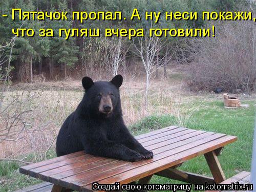 Котоматрица: что за гуляш вчера готовили! - Пятачок пропал. А ну неси покажи,