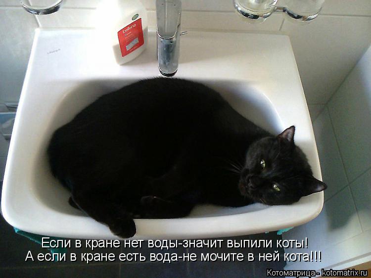 Котоматрица: Если в кране нет воды-значит выпили коты! А если в кране есть вода-не мочите в ней кота!!!