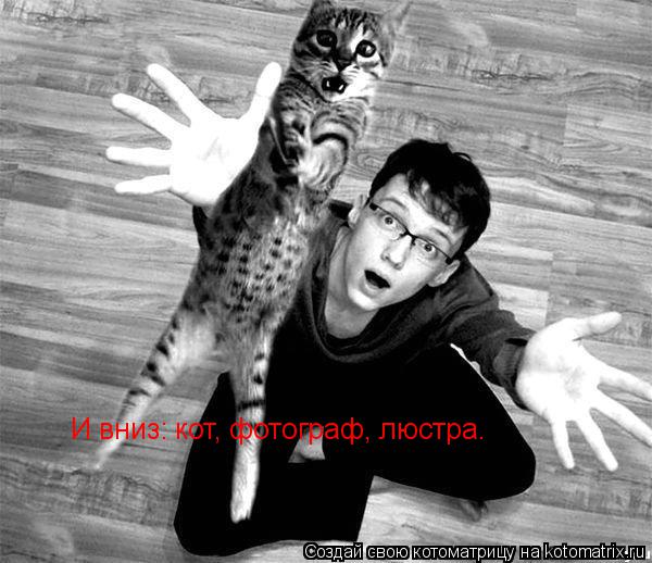 Котоматрица: И вниз: кот, фотограф, люстра.