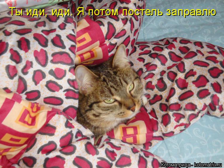 Котоматрица: Ты иди, иди. Я потом постель заправлю