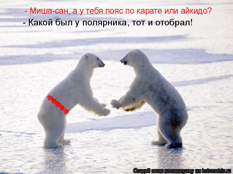 Котоматрица: жжжжжж ффффф еееее - Миша-сан, а у тебя пояс по карате или айкидо? - Какой был у полярника, тот и отобрал!
