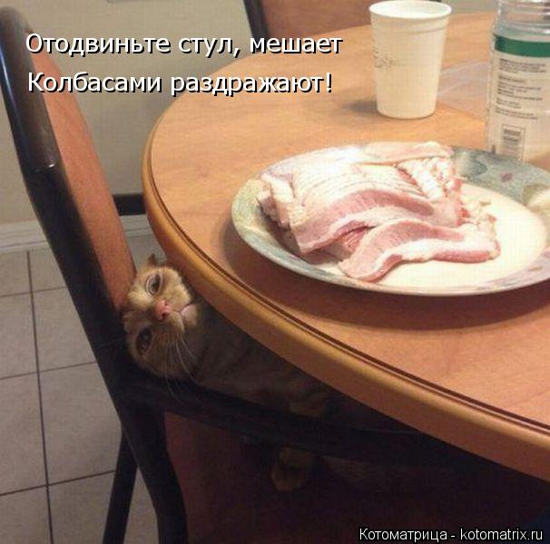 Котоматрица: Отодвиньте стул, мешает Колбасами раздражают!