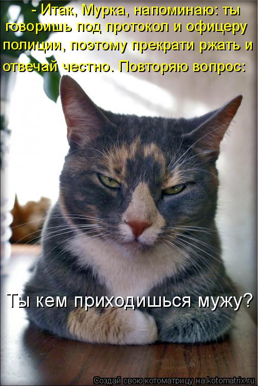 Котоматрица: - Итак, Мурка, напоминаю: ты говоришь под протокол и офицеру полиции, поэтому прекрати ржать и отвечай честно. Повторяю вопрос: Ты кем приход