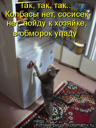 Котоматрица: Так, так, так.. Колбасы нет, сосисек  нет, пойду к хозяйке,  в обморок упаду