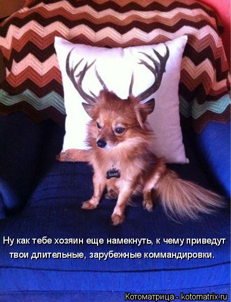 Котоматрица: Ну как тебе хозяин еще намекнуть, к чему приведут твои длительные, зарубежные коммандировки.