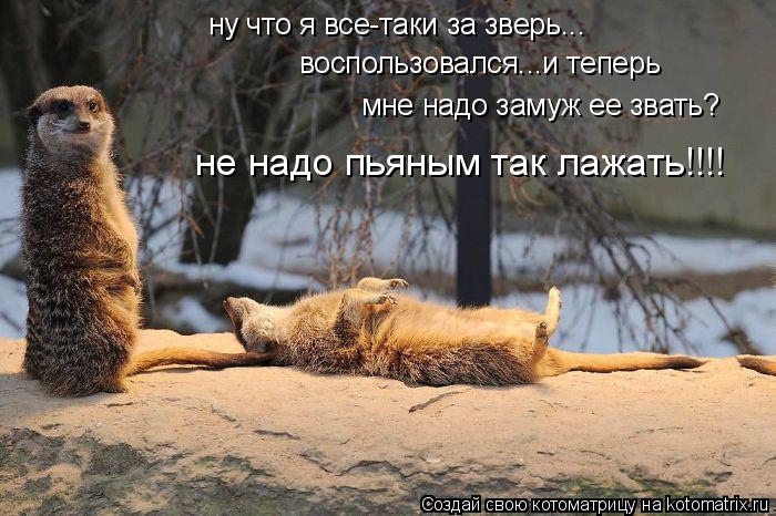 Котоматрица: ну что я все-таки за зверь... воспользовался...и теперь мне надо замуж ее звать? не надо пьяным так лажать!!!!
