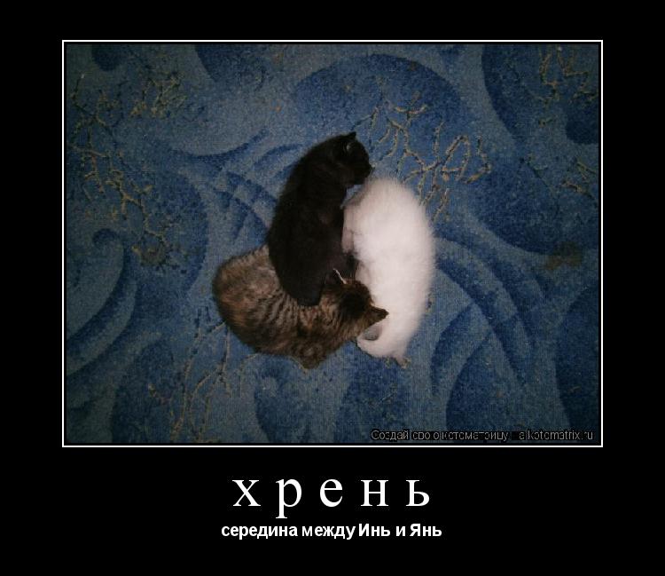 Котоматрица: хрень середина между Инь и Янь