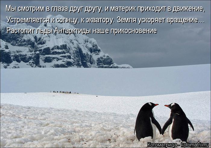 Мы смотрим в глаза друг другу, и материк приходит в движение, Устремляется к солнцу, к экватору. Земл... Котоматрица: Мы смотрим в глаза друг другу, и материк приходит в движение, Устремляется к солнцу, к экватору. Земля ускоряет вращение… Растопит льды Ант