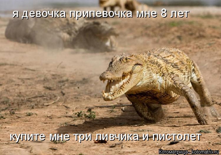 Котоматрица: я девочка припевочка мне 8 лет купите мне три ливчика и пистолет