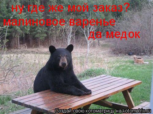 ну где же мой заказ? малиновое варенье да медок... Котоматрица: ну где же мой заказ? малиновое варенье да медок