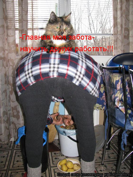 -Главная моя забота- научить других работать!!!... Котоматрица: -Главная моя забота- научить других работать!!!