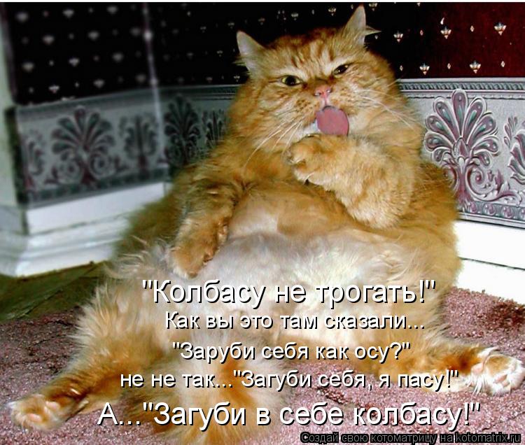 Котоматрица: "Колбасу не трогать!" Как вы это там сказали... "Заруби себя как осу?" не не так..."Загуби себя, я пасу!" А..."Загуби в себе колбасу!"