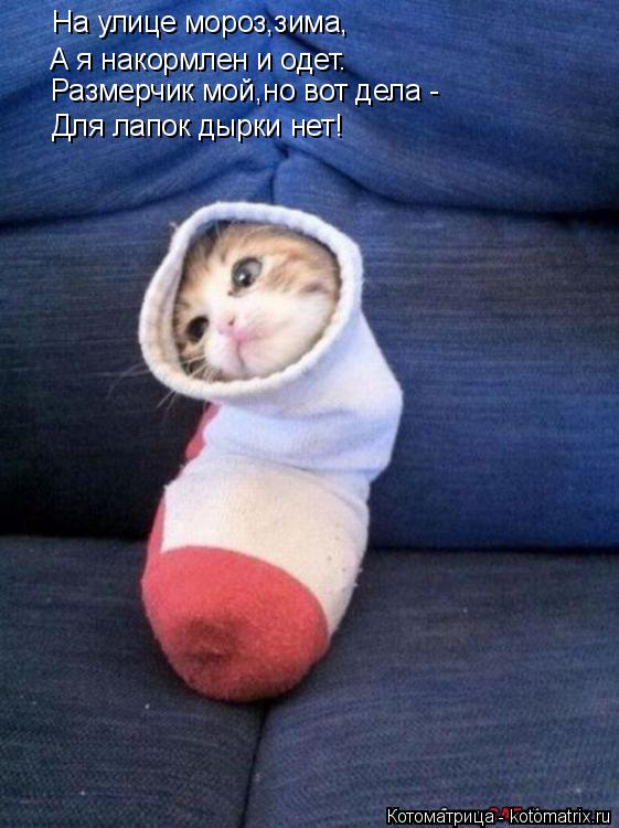 Котоматрица: На улице мороз,зима, А я накормлен и одет. Размерчик мой,но вот дела - Для лапок дырки нет!