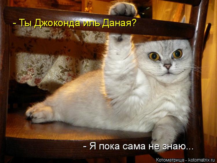 Котоматрица: - Ты Джоконда иль Даная? - Я пока сама не знаю...