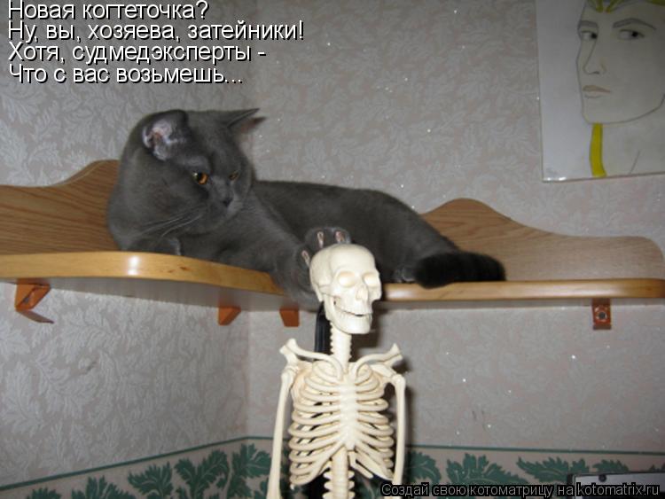 Котоматрица: Новая когтеточка? Ну, вы, хозяева, затейники! Хотя, судмедэксперты - Что с вас возьмешь...