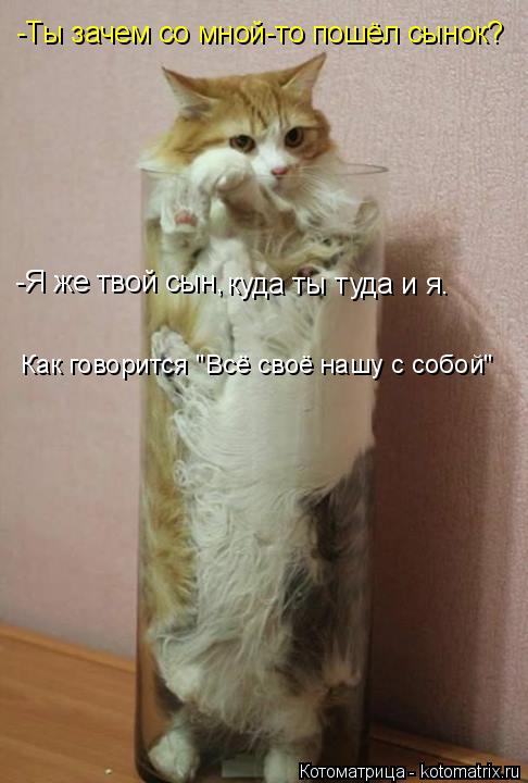 Котоматрица: -Ты зачем со мной-то пошёл сынок? Как говорится "Всё своё нашу с собой" -Я же твой сын, куда ты туда и я.