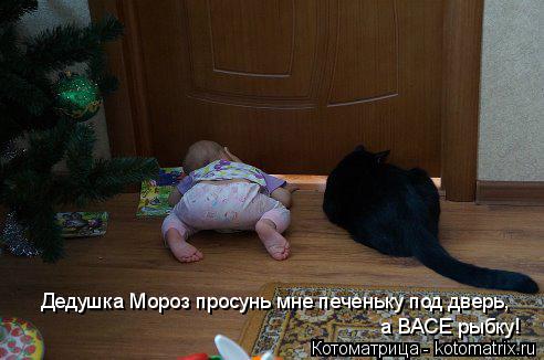 Котоматрица: Дедушка Мороз просунь мне печеньку под дверь, а ВАСЕ рыбку!