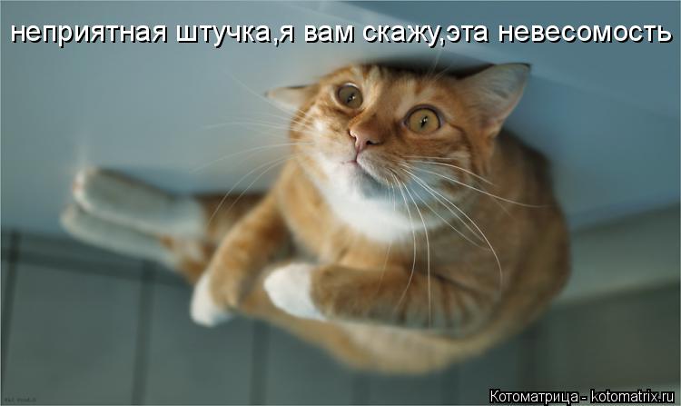 неприятная штучка,я вам скажу,эта невесомость... Котоматрица: неприятная штучка,я вам скажу,эта невесомость