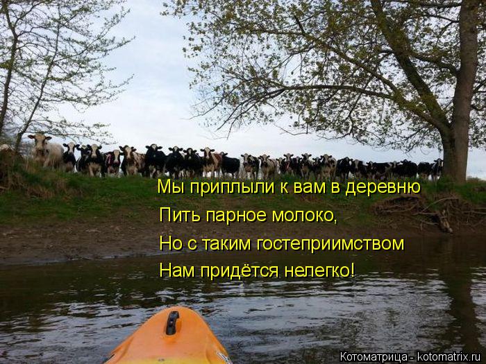 Мы приплыли к вам в деревню Пить парное молоко, Но с таким гостеприимством Нам придётся нелегко!... Котоматрица: Мы приплыли к вам в деревню Пить парное молоко, Но с таким гостеприимством Нам придётся нелегко!