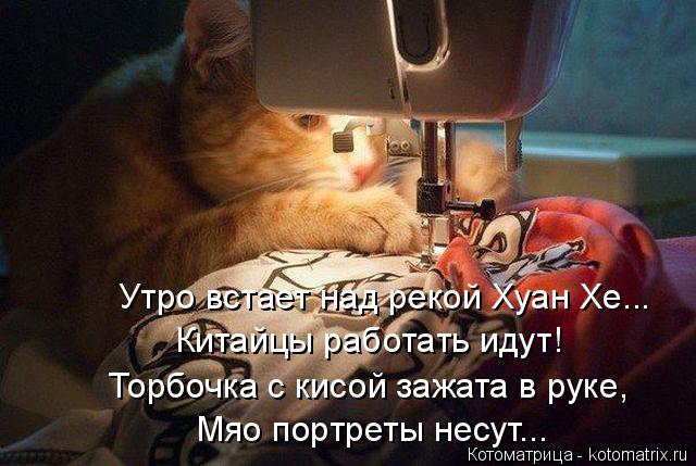 Котоматрица: Утро встает над рекой Хуан Хе... Китайцы работать идут! Торбочка с кисой зажата в руке, Мяо портреты несут...