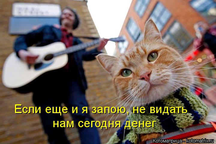 Если еще и я запою, не видать нам сегодня денег... Котоматрица: Если еще и я запою, не видать нам сегодня денег