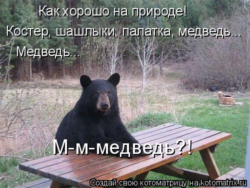 Котоматрица: Как хорошо на природе! Костер, шашлыки, палатка, медведь... Медведь... М-м-медведь?!