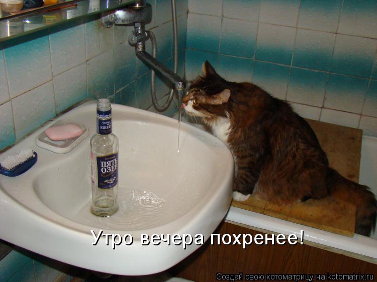 Котоматрица: Утро вечера похренее!