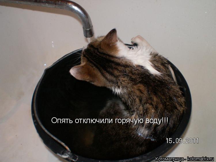 Котоматрица: Опять отключили горячую воду!!!
