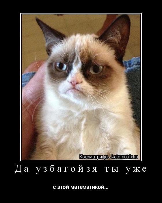 Котоматрица: Да узбагойзя ты уже  с этой математикой...